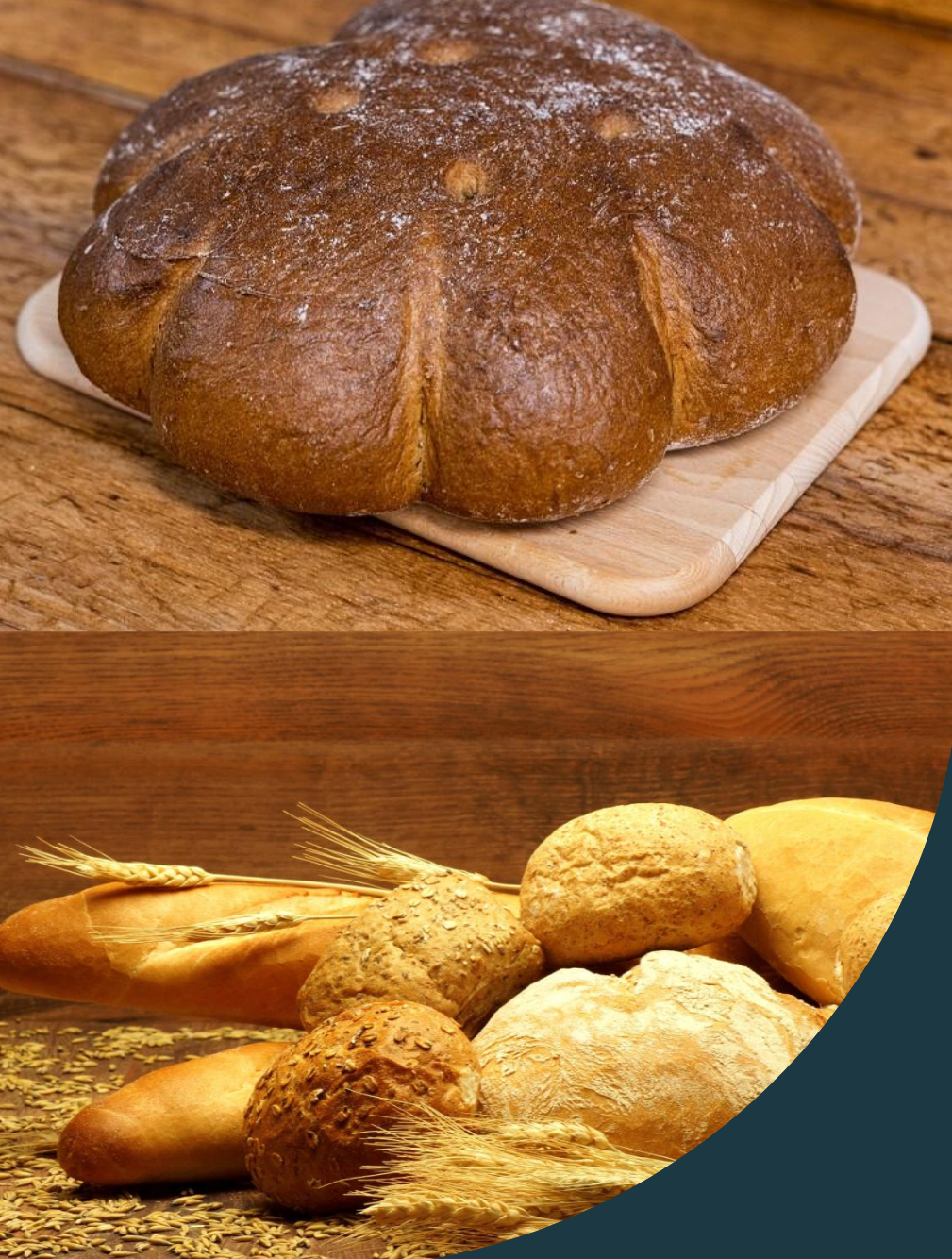catering zadní vrátka